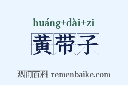 黄带子是什么意思的图片